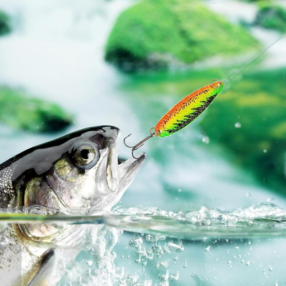 Calendario de Adviento de Pesca 2025